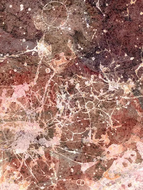 ��īǽ�ڱ���-������