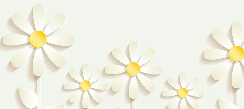 D����ǽ����-������