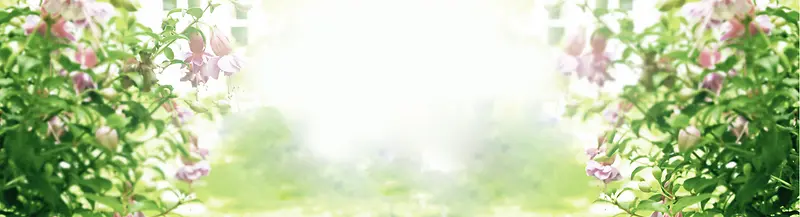 ������ɫ������������-������