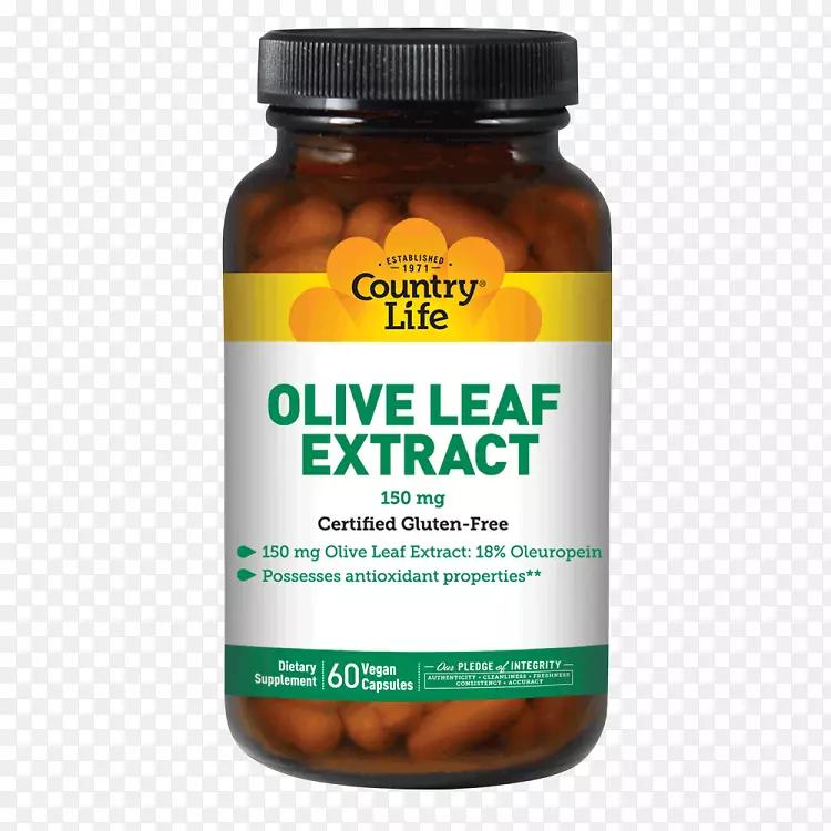 ��ʳ�����ά����b-6bά����������Ҷ-������