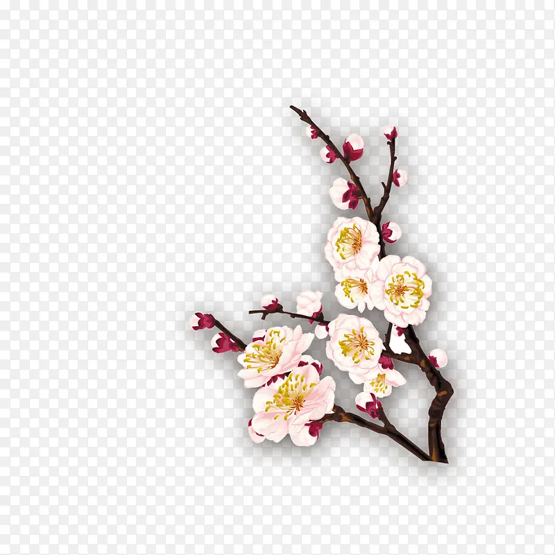 ��ɫ÷��-������