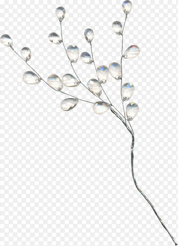 ��֦�ƾ�-������