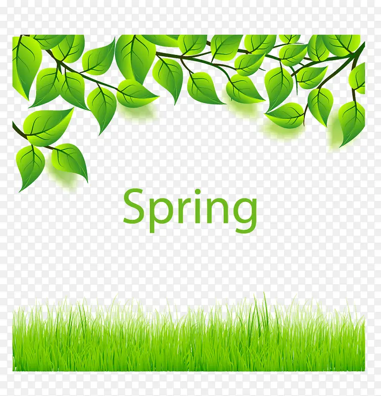 ������ɫ��Ҷ��ݵ�-������