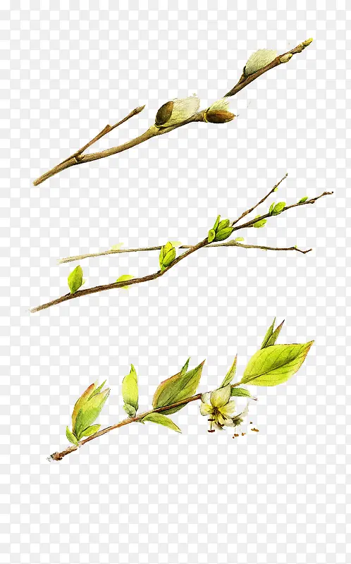 ������֦��ѿ-������