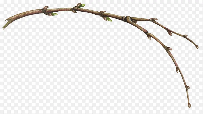 ��ѿ����֦-������