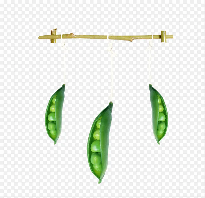 �����㶹-������