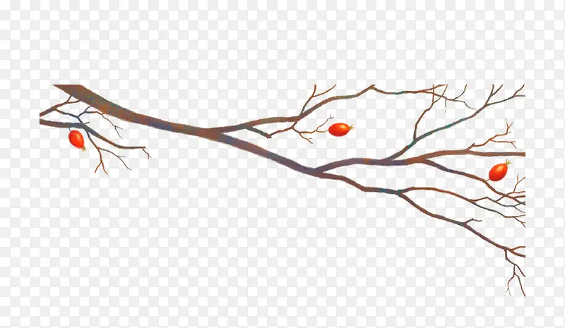 ��ͨ������֦-������