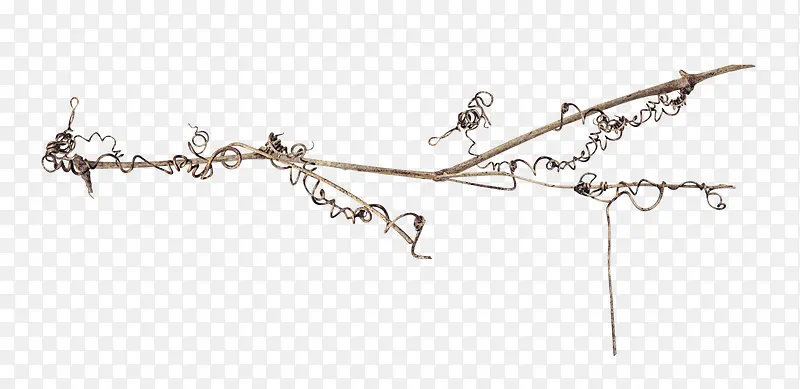 �ɻ�֦-������