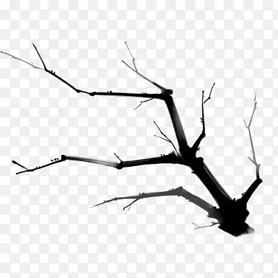 ��֦-������