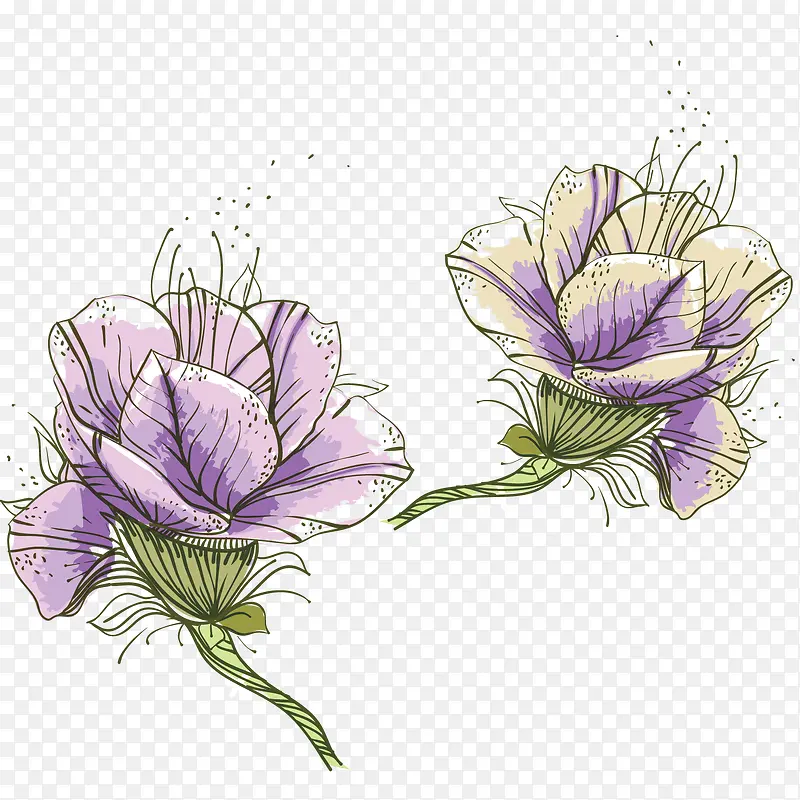 ��ɫ�뿪ŷʽ����-������