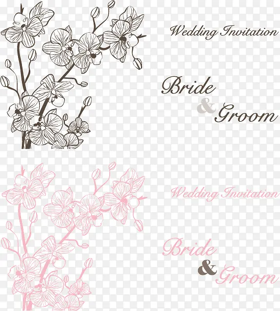 �������Ŷ�ʻ������ʸ���ز�-������