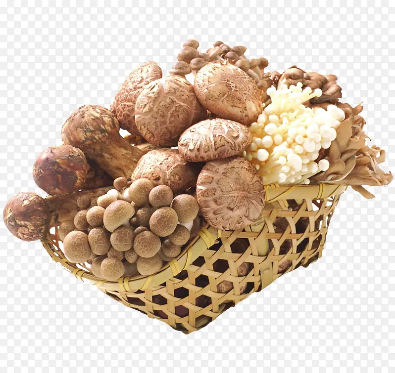 ʳ�������-������