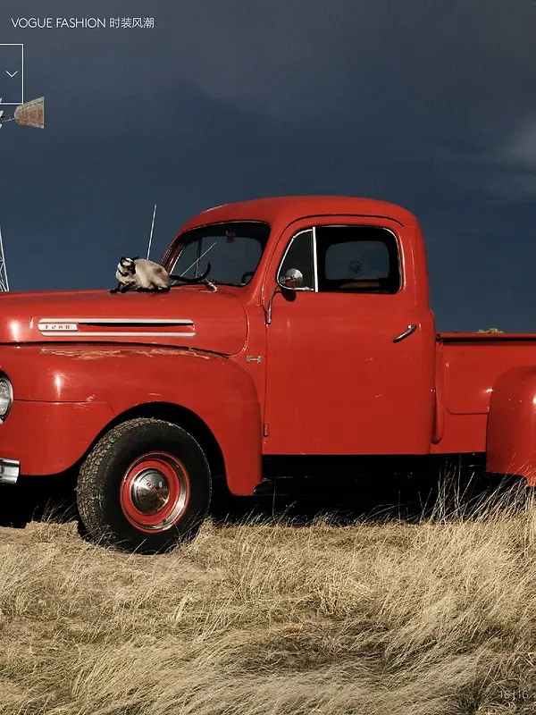 ��ɫС����ͼƬ��������-������