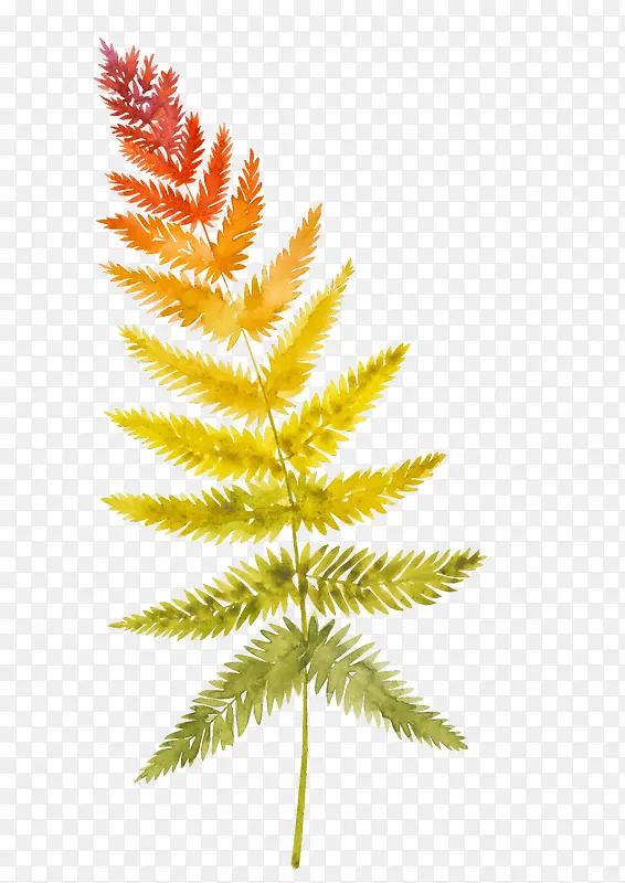 �ֻ�ֲ��Ҷ���������-������