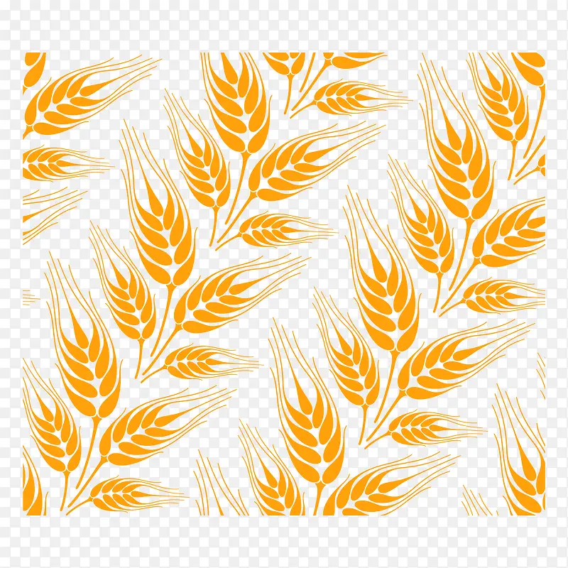 ��ɫ��������������-������