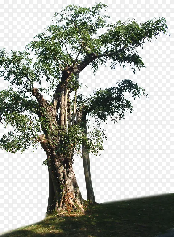 ����-������