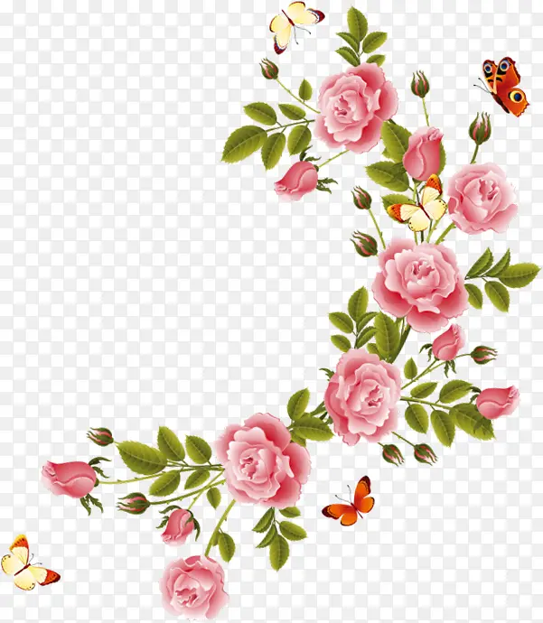 ��Ӱ�ֻ洺��ֲ�ﻨ��-������