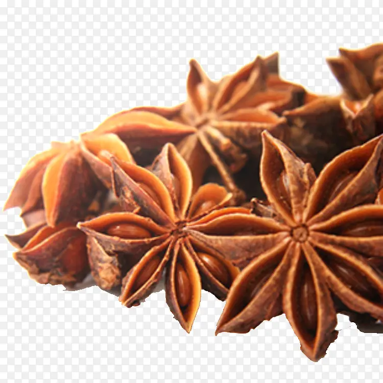 �˽�������Ӱ-������