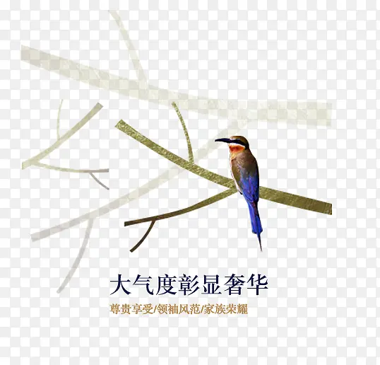 �ز������֦��-������