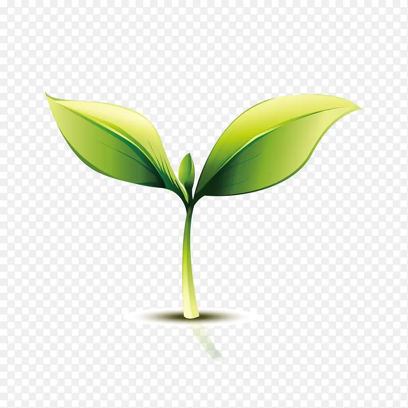 ���췢ѿ-������