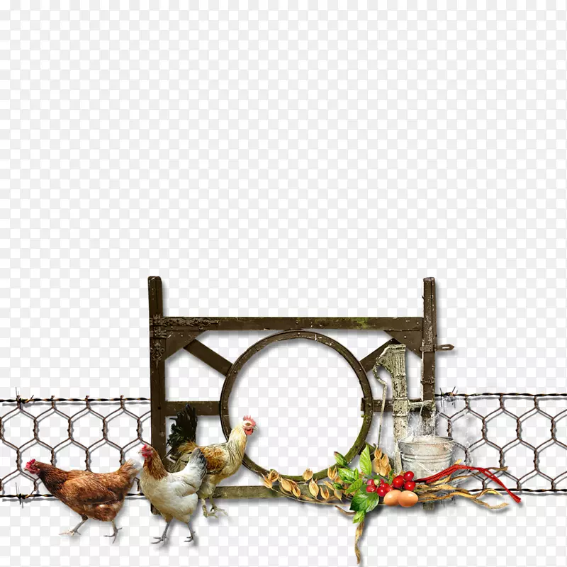 �ȸ�ͼƬ�����ʼ�Ӣ�����������-������