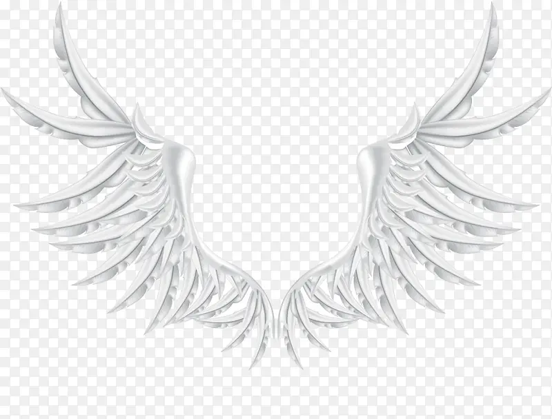 ��ɫ���-������