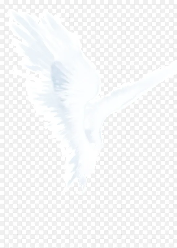 �ֻ��λð�ɫ�Գ��-������