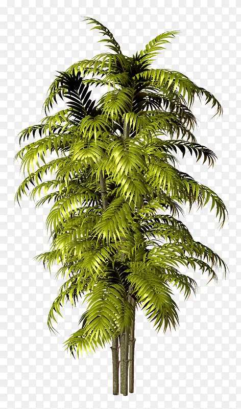 ɳ̲��-������