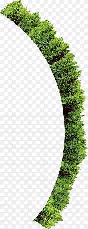 С��-������