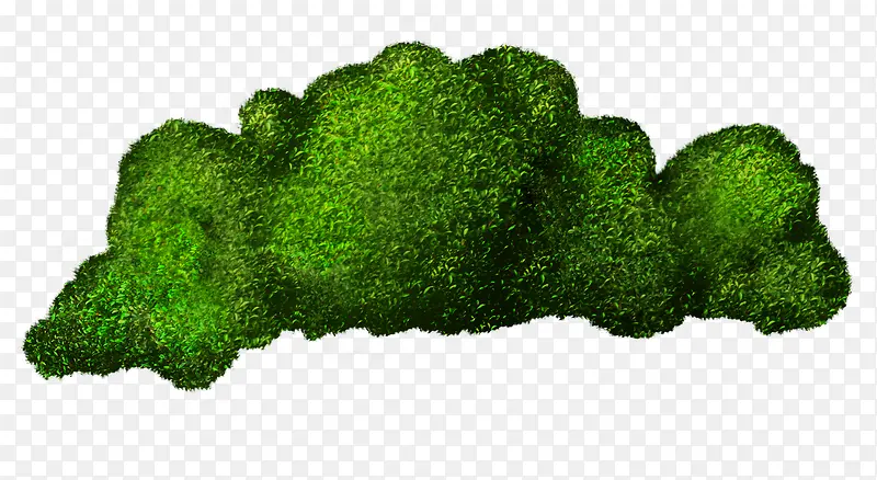 ��ɫ�ݶ�-������