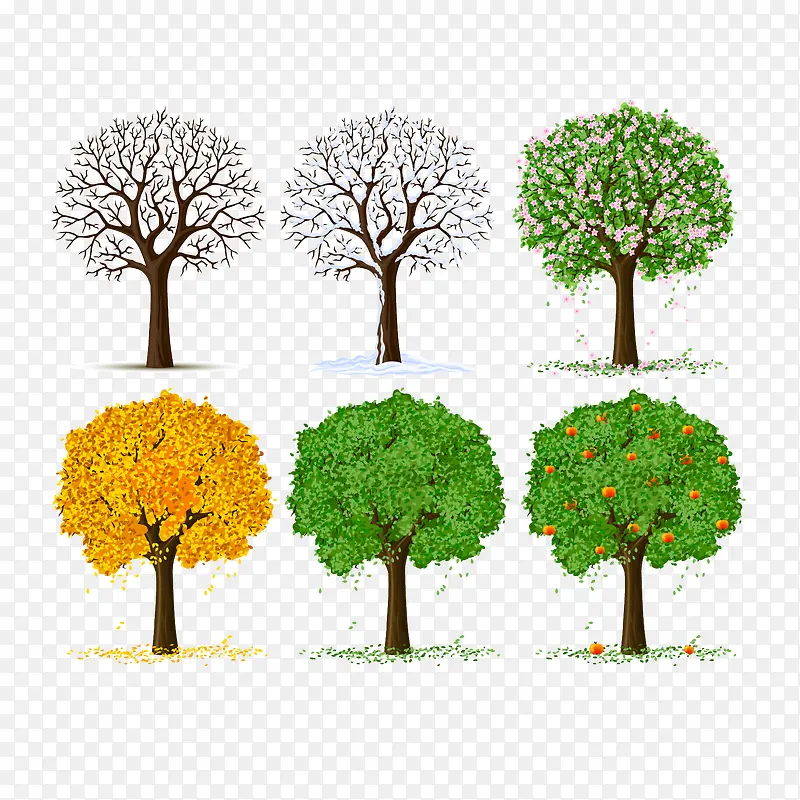 ��ʵ��ľʸ��ͼ-������