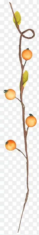 �������֦-������