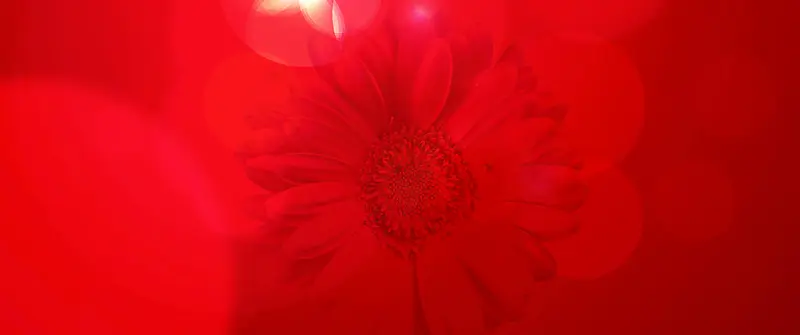 ��ɫ����ͼƬ-������