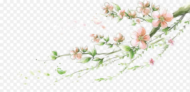 ��֦�ϵ��һ�-������