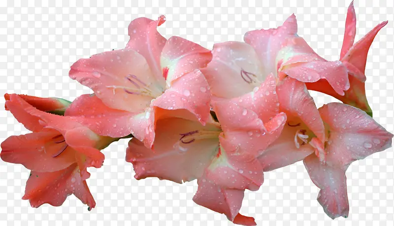 ˮ���ɫ����-������