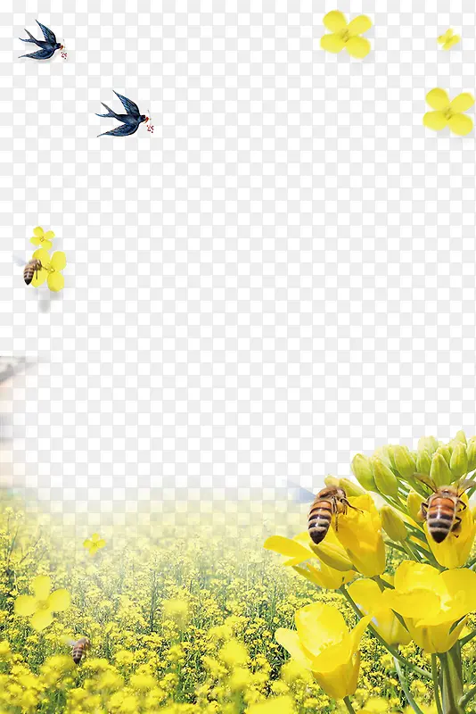 �����Ͳ˻�������װ�α߿�-������