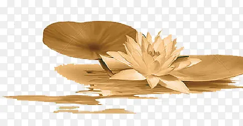 �ֻ�ɻ�-������