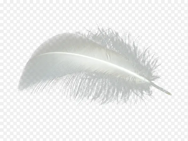 ��ɫ��ë-������