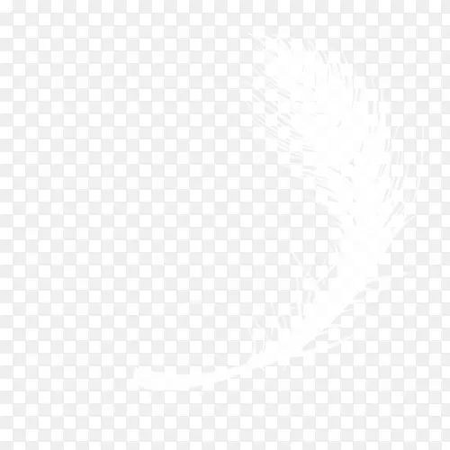 ��ë��ɫ-������