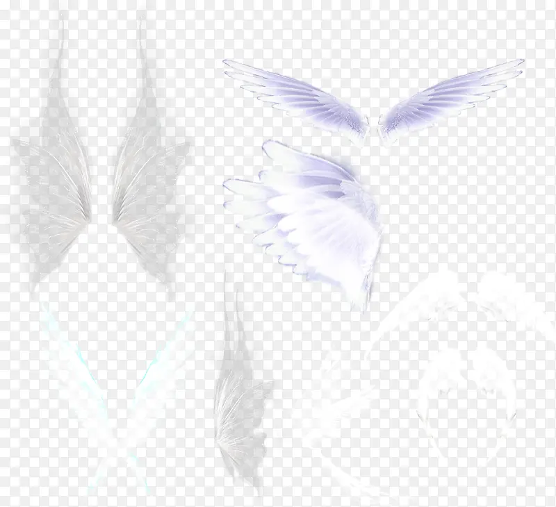 ��ɫ����ë-������