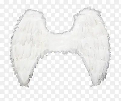 ��ʹ�ĳ��-������