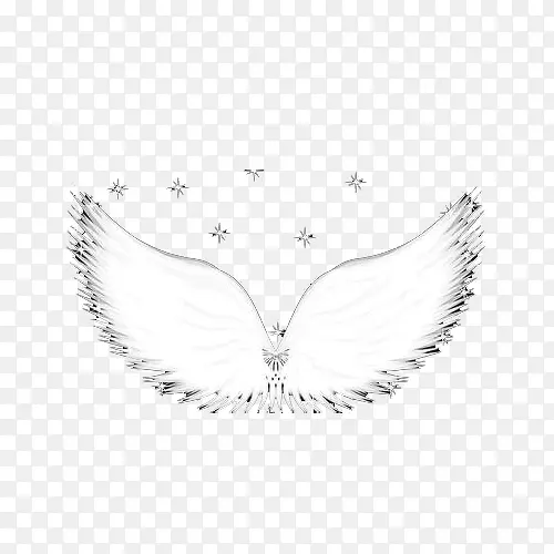 ��ʹ�ĳ��-������