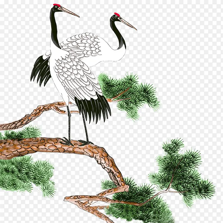 �����ϵİ׺�-������