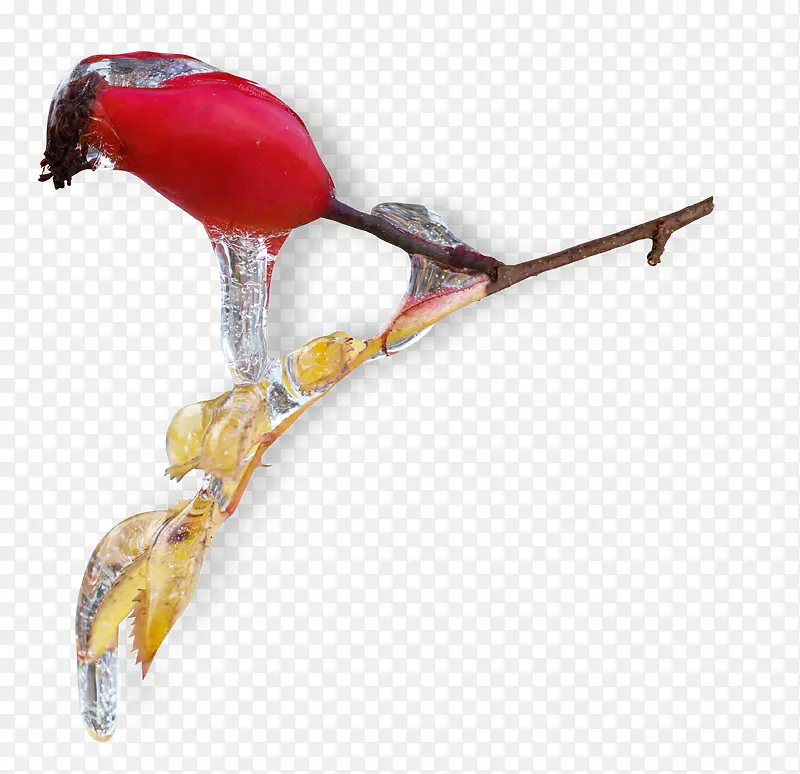 һ֦÷-������