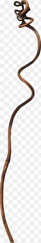 ��ɫ���ƿ�֦-������