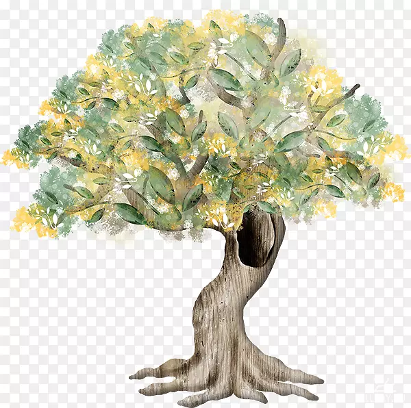 ������ͼ.������-������