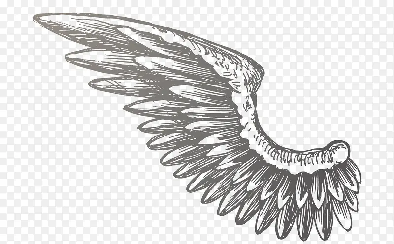 ��ɫ�ĳ��-������