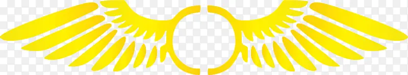 ��ɫԲ��ʸ����ʹ֮��-������