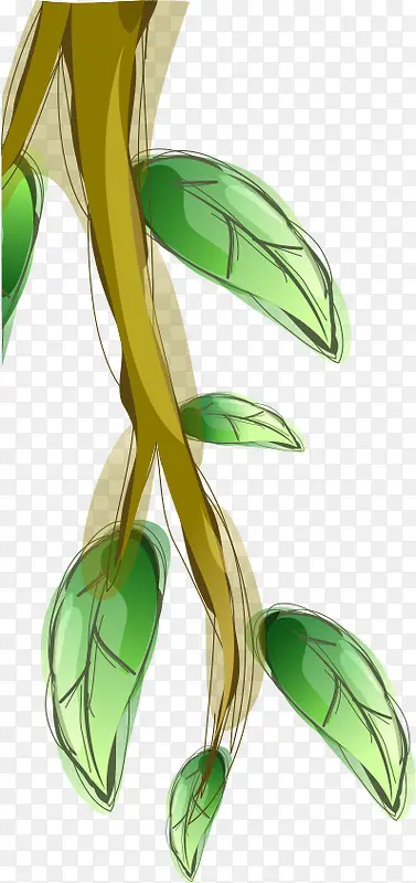 ��֦-������