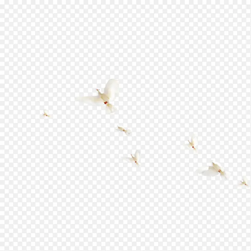 �������-������